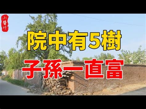 庭院風水樹|【門前的風水樹】門前種什麼樹風水好種對了樹好運連連 